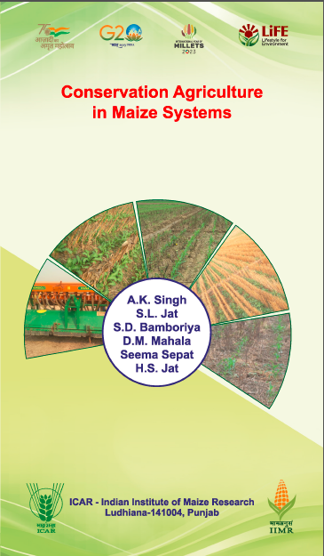 Conservation Agriculture in Maize Systems