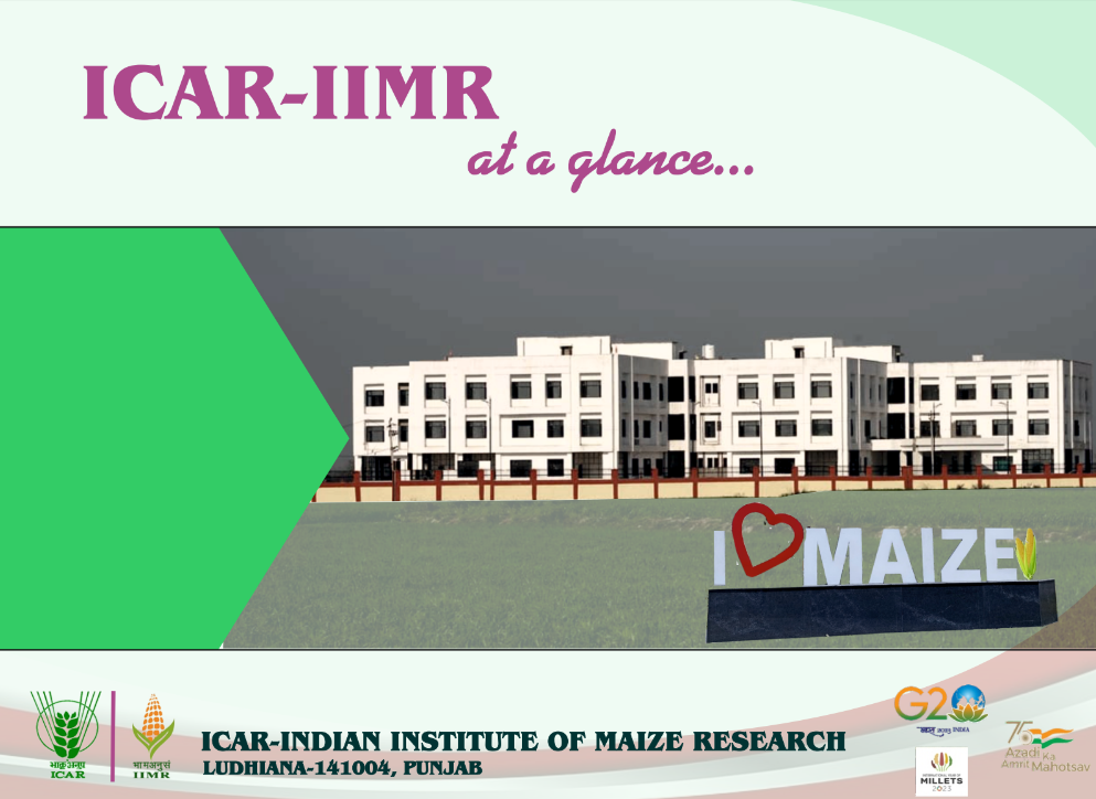 ICAR-IIMR at a Glance