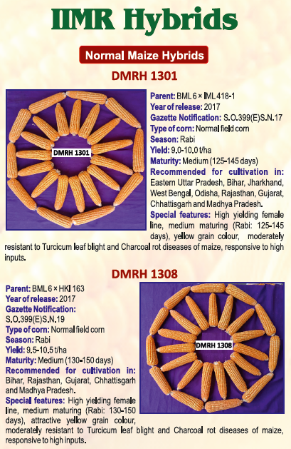 IIMR Hybrids