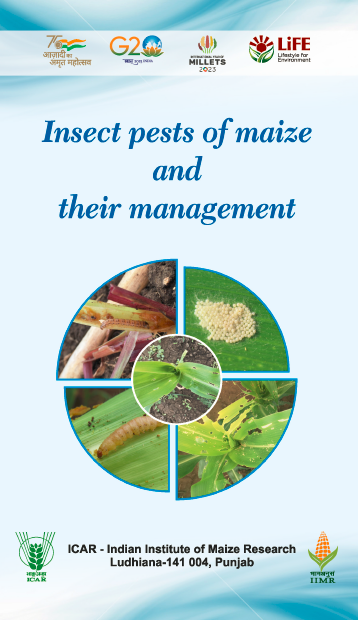 Insect Pests of Maize &amp; their Management