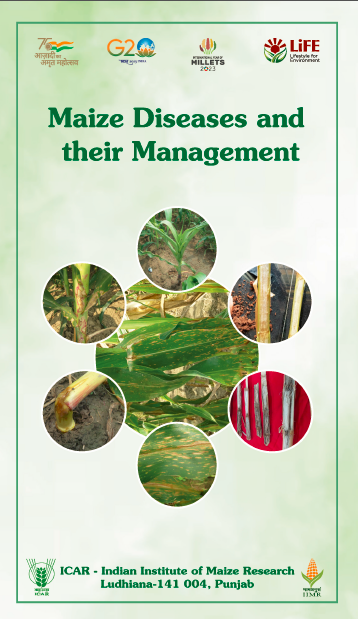 Maize Diseases and their Management
