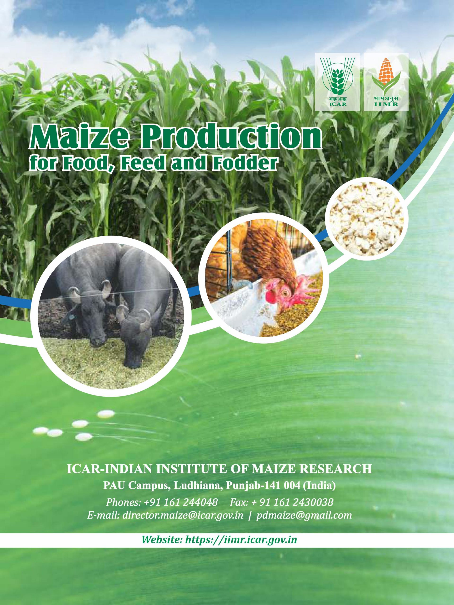 Maize Production for Food, Feed and Fodder
