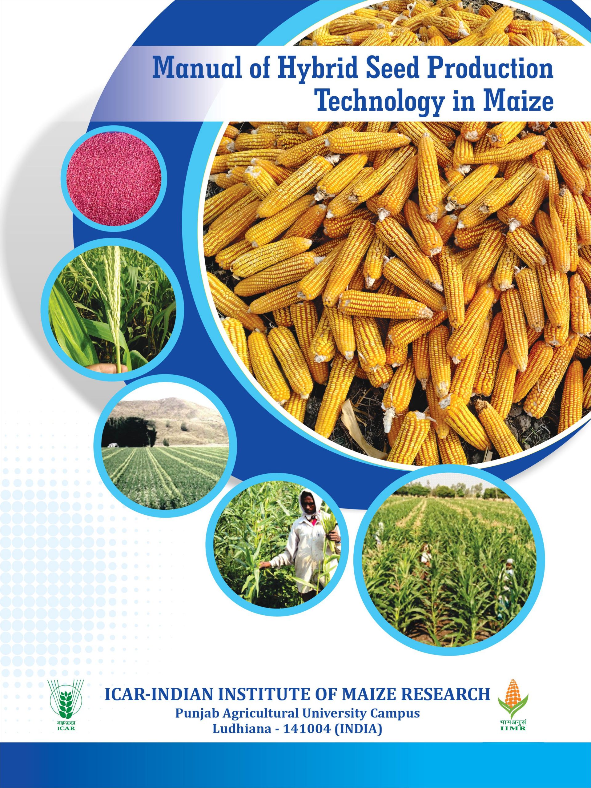 Manual of Hybrid Seed Production Technology in Maize