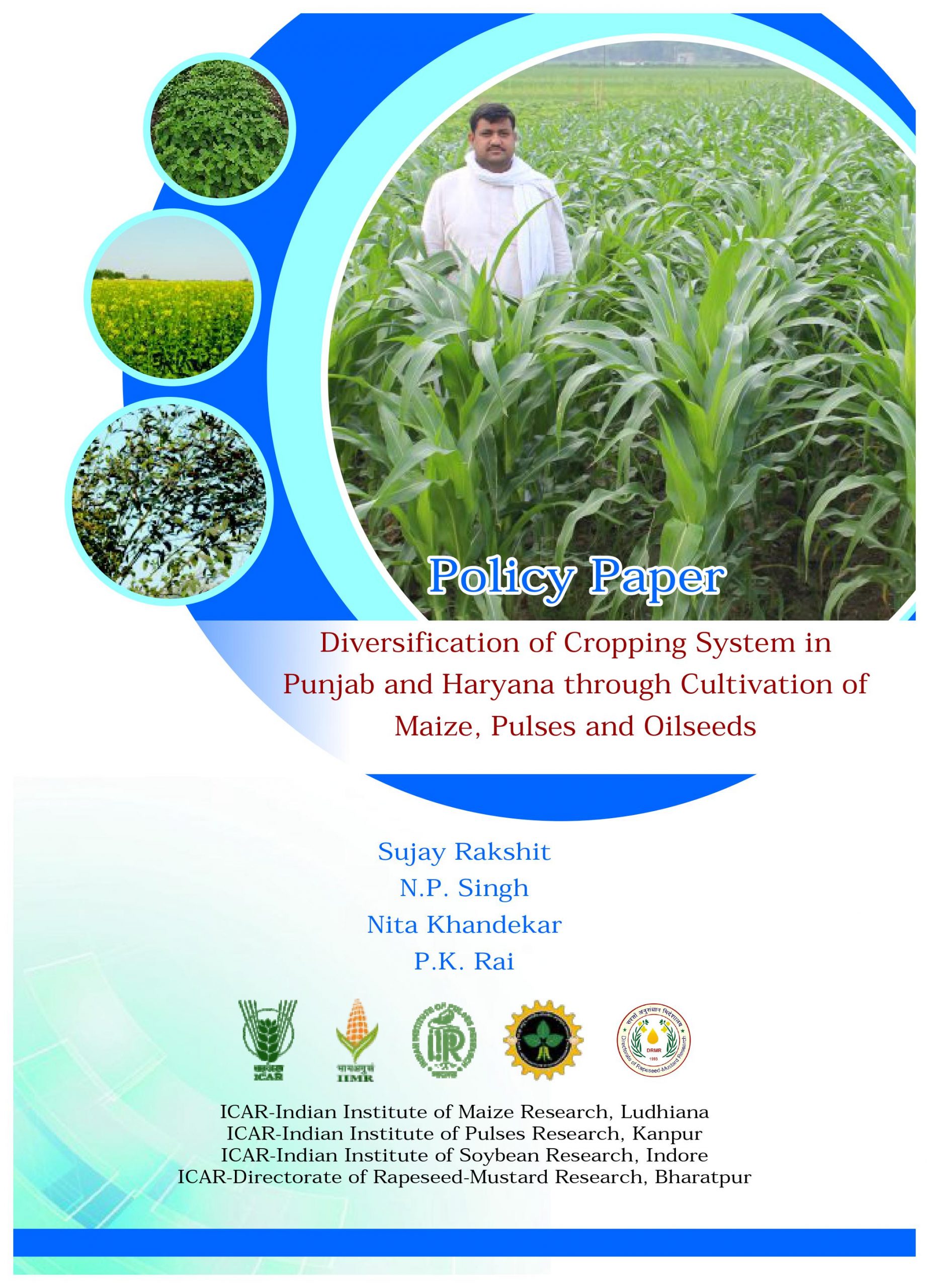 Policy Paper on Diversification of Cropping System in Punjab and Haryana through Cultivation of Maize, Pulses and Oilseeds
