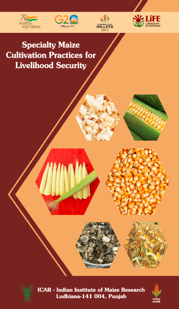 Speciality Maize Cultivation Practices for Livelihood Security