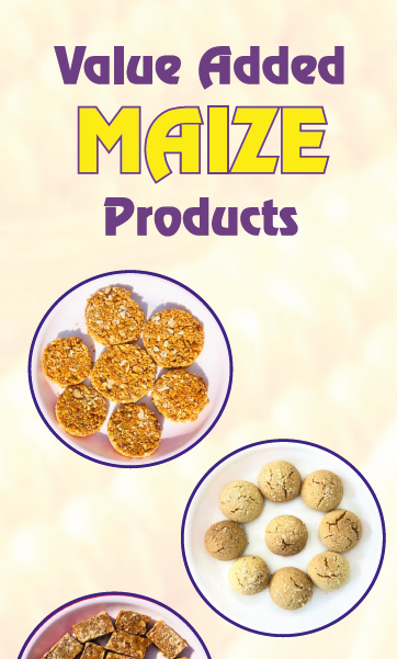 Value Added Maize Products