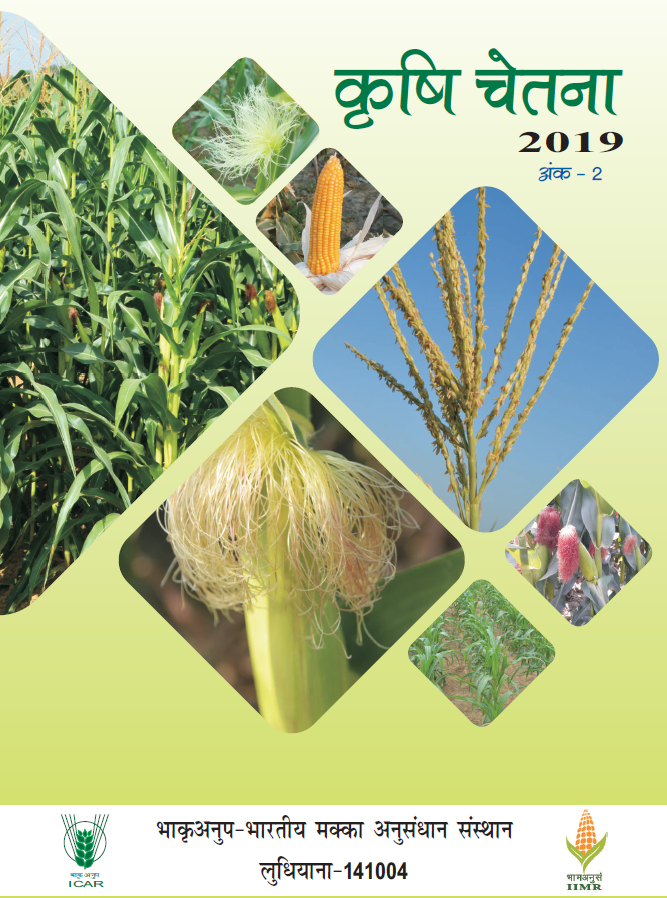 Vol 2, 2019