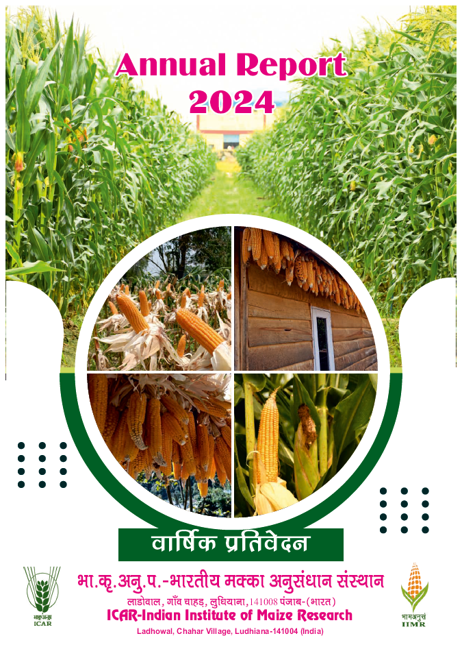 Annual Report 2024